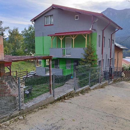 Vila Cri Cri Buşteni 外观 照片