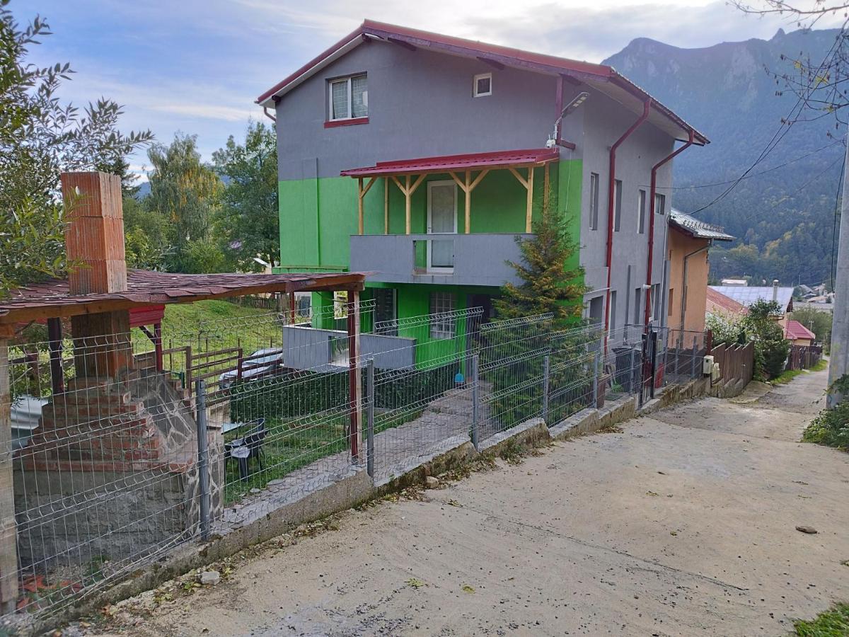 Buşteni Vila Cri Cri酒店 外观 照片