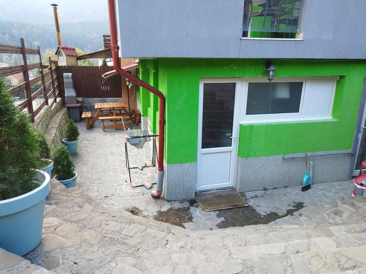Vila Cri Cri Buşteni 外观 照片