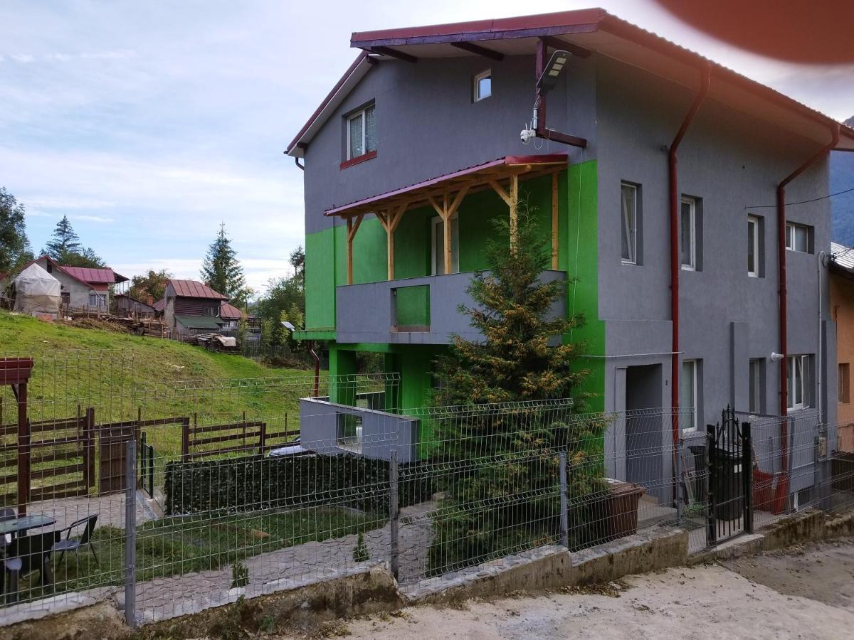 Vila Cri Cri Buşteni 外观 照片