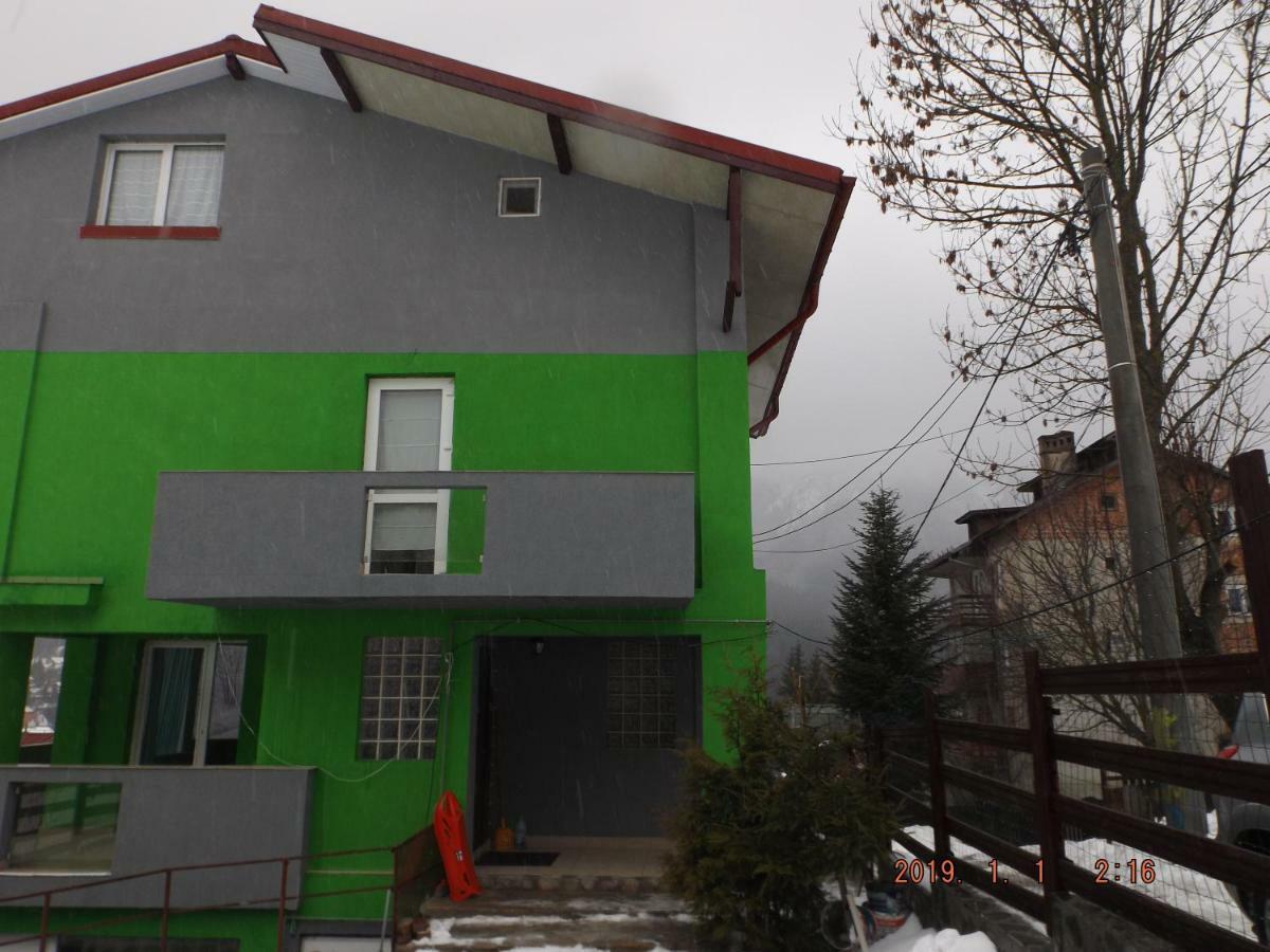 Vila Cri Cri Buşteni 外观 照片